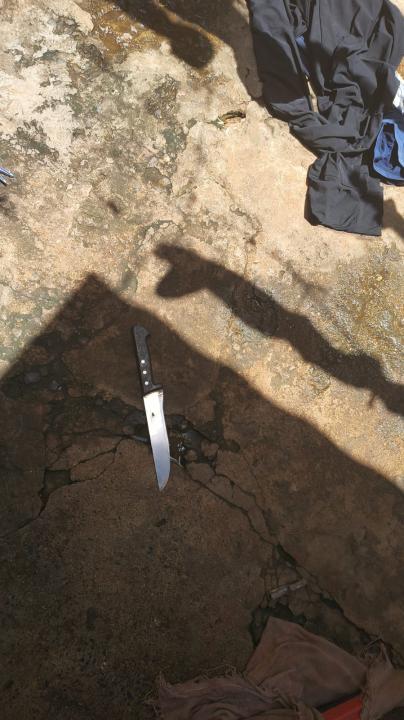 Foto 2 de 5 — Idosa é morta a facadas pelo companheiro em caçamba de bolsão no Hortências